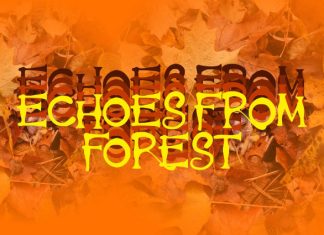 Lazover Classico Decorative Typeface Font preview image 2