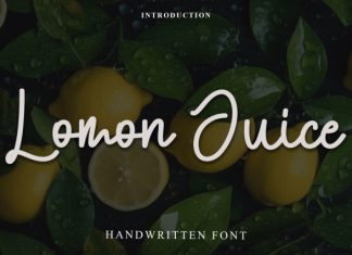 Lomon Juice Font preview image 1