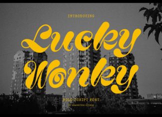Lucky Wonky Font preview image 1