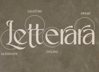 Lunavera Luxury Serif Font preview image 3
