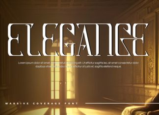 MASSIVE COVERAGE – MODERN SERIF FONT preview image 3