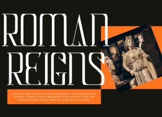 MASSIVE COVERAGE – MODERN SERIF FONT preview image 2