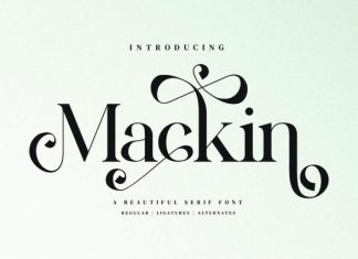 Mackin – Beatiful Serif Font preview image 1