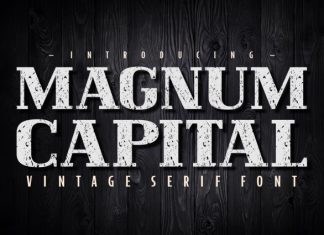 Magnum Capital Font preview image 1