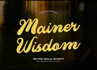 Mainer Wisdom Font preview image 1