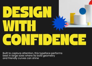 Maniche Font preview image 3
