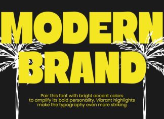Maniche Font preview image 2