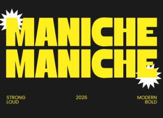 Maniche Font preview image 1