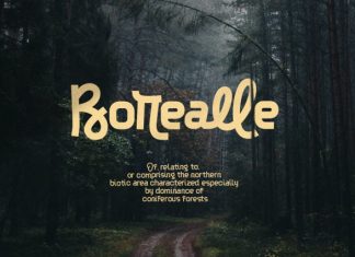 Manoka Font preview image 2