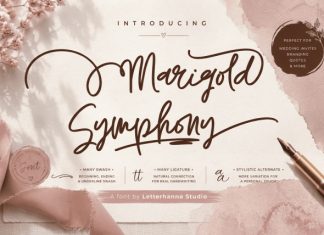 Marigold Symphony Font preview image 1