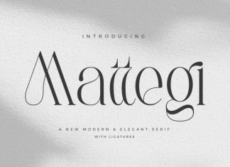 Mattegi – Modern Serif Font preview image 1