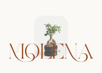 Mayor – Modern Stylish Serif Font preview image 3