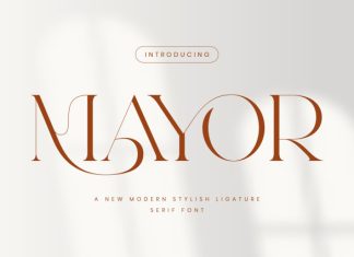 Mayor – Modern Stylish Serif Font preview image 1