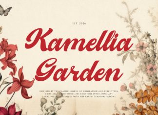 Melcostra Handwritten Bold Script Font preview image 3