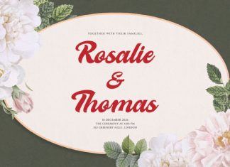 Melcostra Handwritten Bold Script Font preview image 2