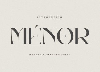 Menor – Modern Elegant Serif Font preview image 1