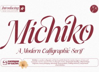 Michiko Font preview image 1