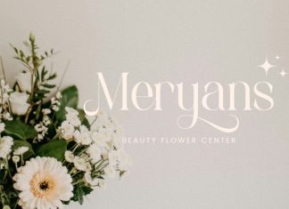 Michola – Beautiful Serif Font preview image 3