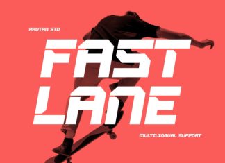 FASTLANE Font preview image 1