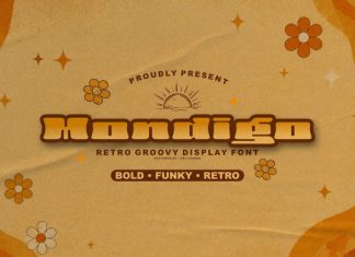 Mondigo-Retro Groovy Font preview image 1