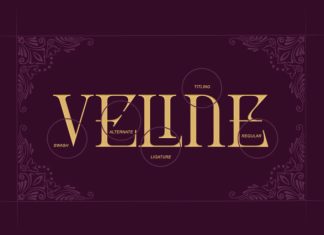Monvele Luxury Serif Font preview image 3