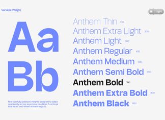 NV Anthem Grotesk – Modern Sans Serif Font preview image 3