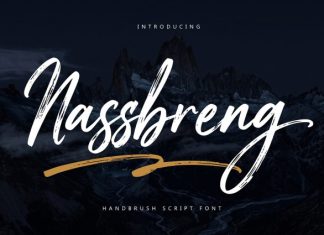 Nassbreng – Handbrush Script Font preview image 1