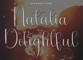 Natalia Delightful Font preview image 1