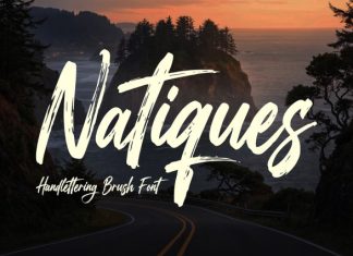 Natiques – Handlettering Brush Font preview image 1