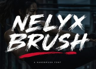 Nelyx Brush – Handbrush Font preview image 1
