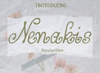 Nenakis Handwritten Font preview image 1