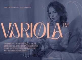 Niasec Lux Font preview image 3