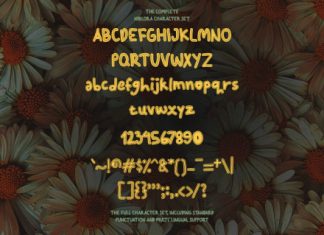 Niblora Playful Display Font preview image 2