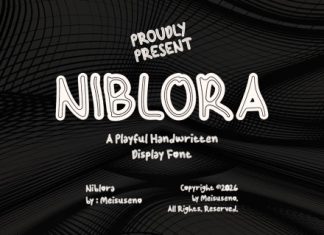 Niblora Playful Display Font preview image 1