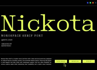 Nickota – Monospace Serif Font preview image 1