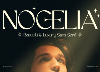 Nocelia – Sans Serif Font preview image 1