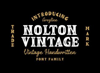 Nolton Vintage Font preview image 1