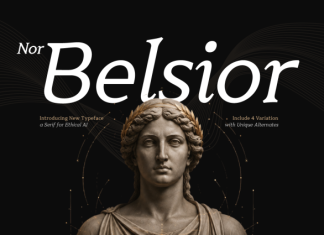 Nor Belsior – Ethical AI Serif Font preview image 1