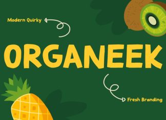 Organeek Font preview image 1