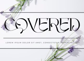PRESTIGE RECORD – MODERN LUXURY FONT preview image 3