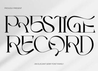 PRESTIGE RECORD – MODERN LUXURY FONT preview image 1