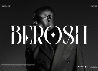 Berosh || Modern Classy Serif Font preview image 1