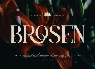 Brosen || Modern Classy Serif Font preview image 1