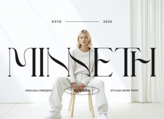 Minneth || Modern minimalist Serif Font preview image 1