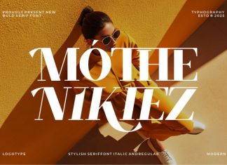 Mothe Nikiez || Elegant Smooth Serif Font preview image 1