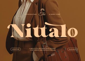 Nittalo || Modern Classy Serif Font preview image 1