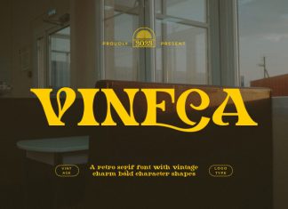 Vineca || Vintage Retro Serif Font preview image 1