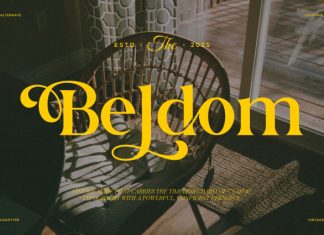 Beldom || Vintage Classy Serif Font preview image 1