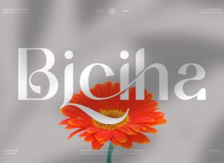 Biciha || Modern Minimalist Sans Serif Font preview image 1