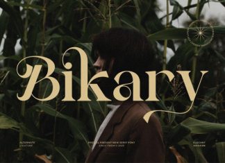 Bikary || Modern Classy Serif Font preview image 1